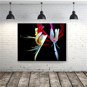 SEG/LED Single-Sided Light Boxes Wall